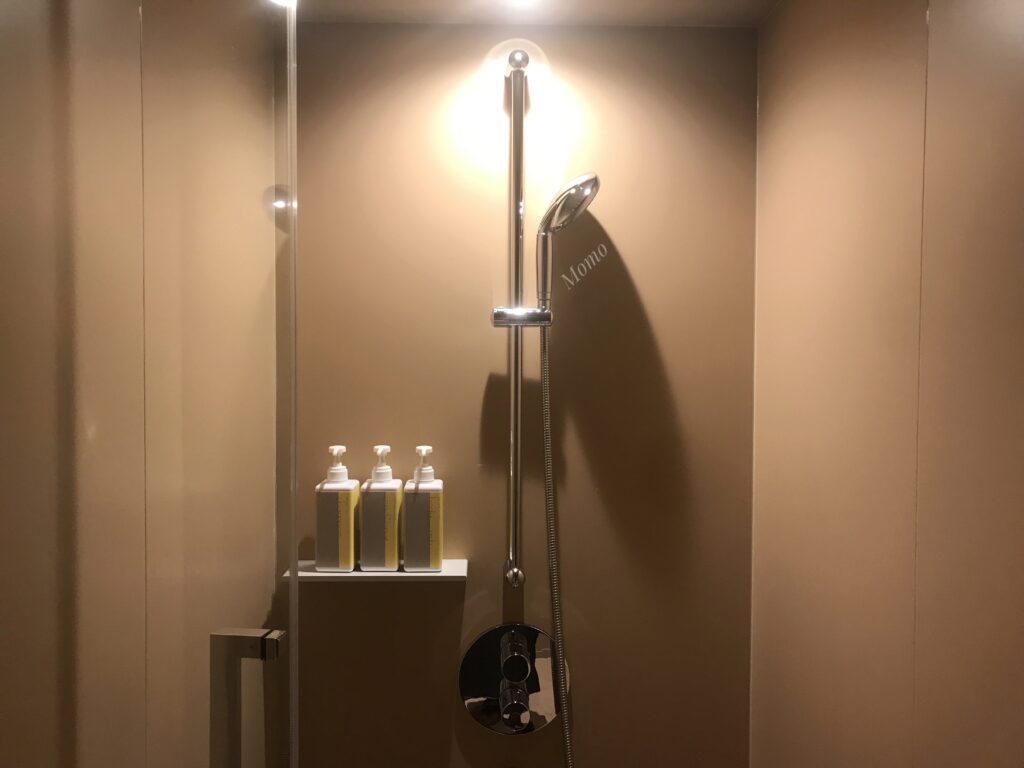 トグルホテル　スタンダードルームB シャワー